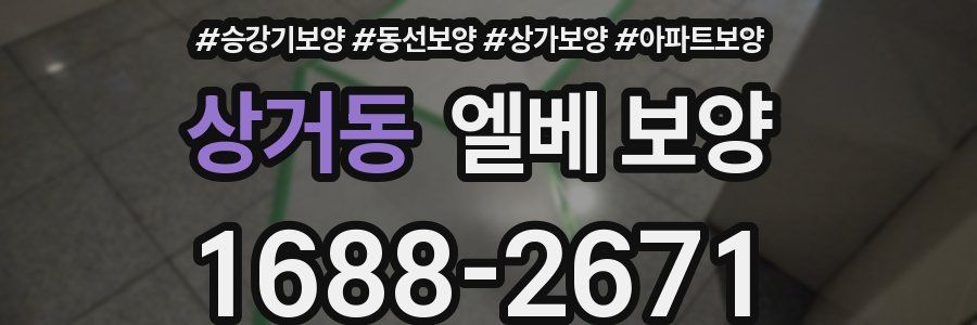 상거동 엘베 보양