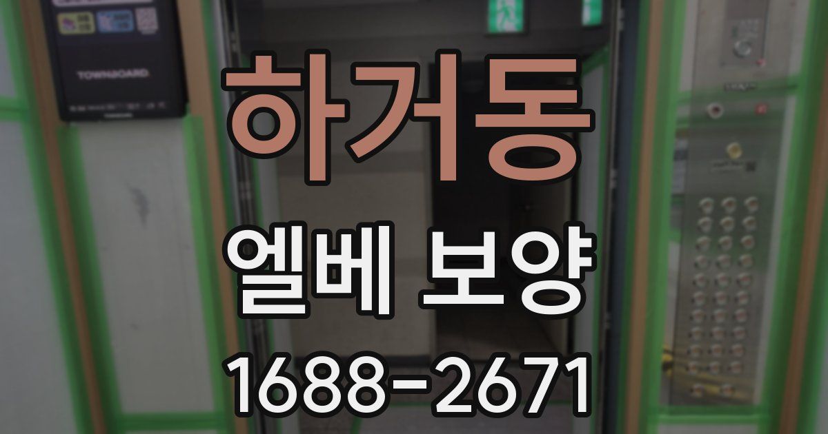 하거동 엘베 보양