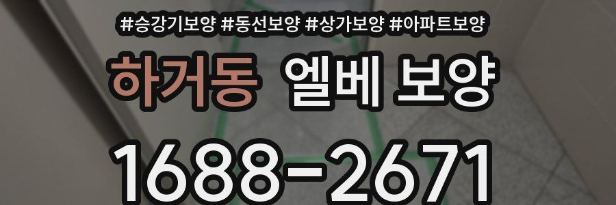 하거동 엘베 보양