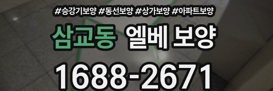 삼교동 엘베 보양
