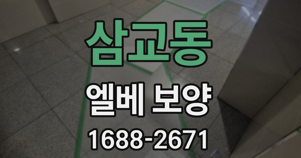 삼교동 엘베 보양