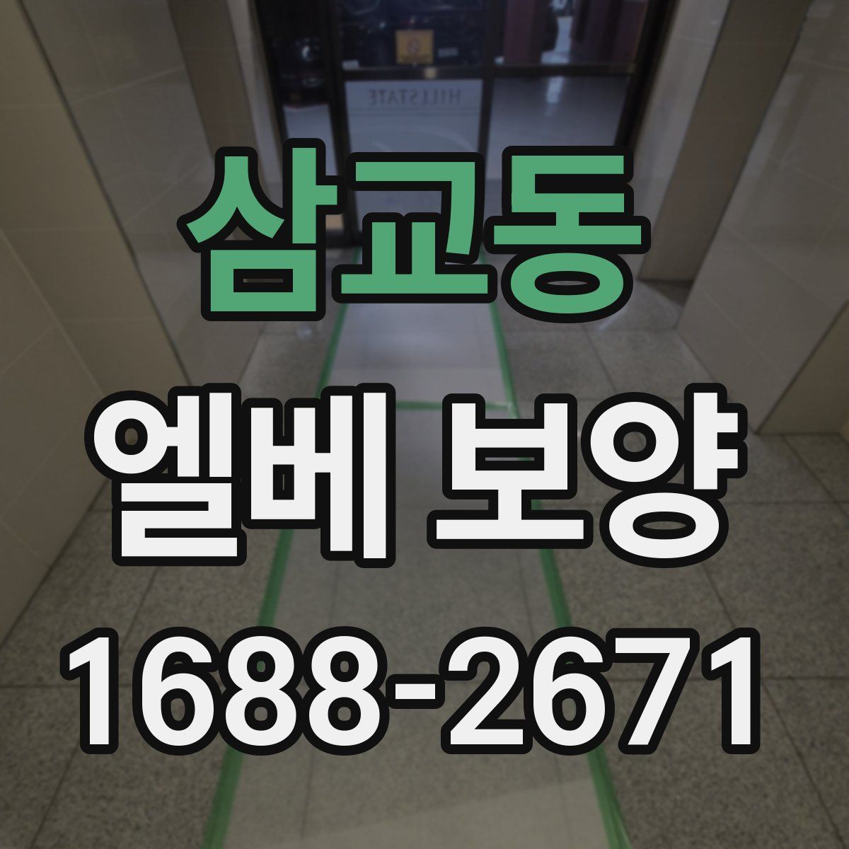 삼교동 엘베 보양
