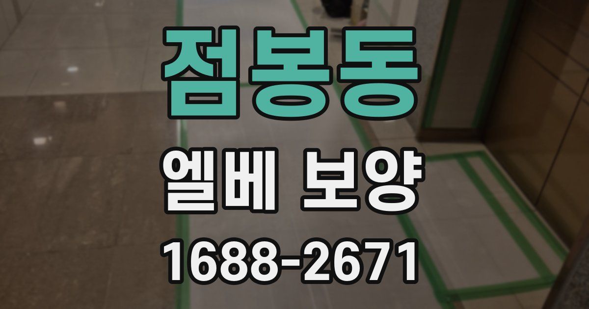 점봉동 엘베 보양