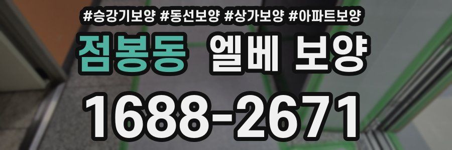 점봉동 엘베 보양