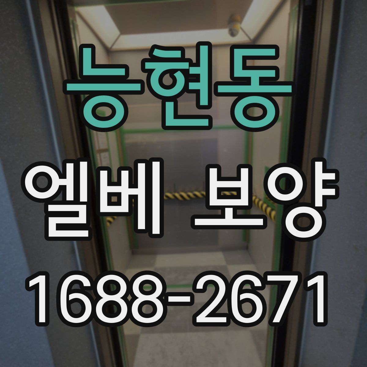 능현동 엘베 보양 자재별 장단점과 현장 적용 정리