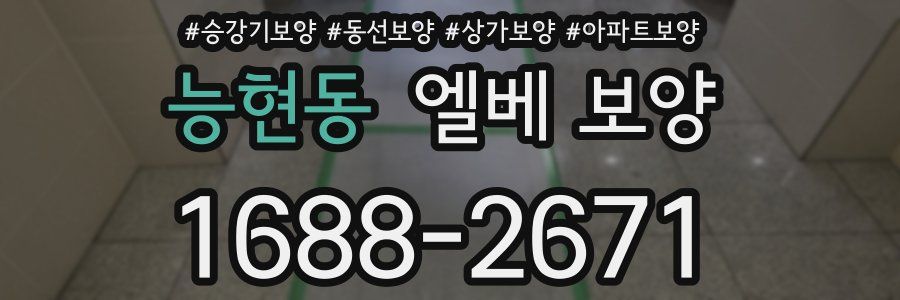 능현동 엘베 보양