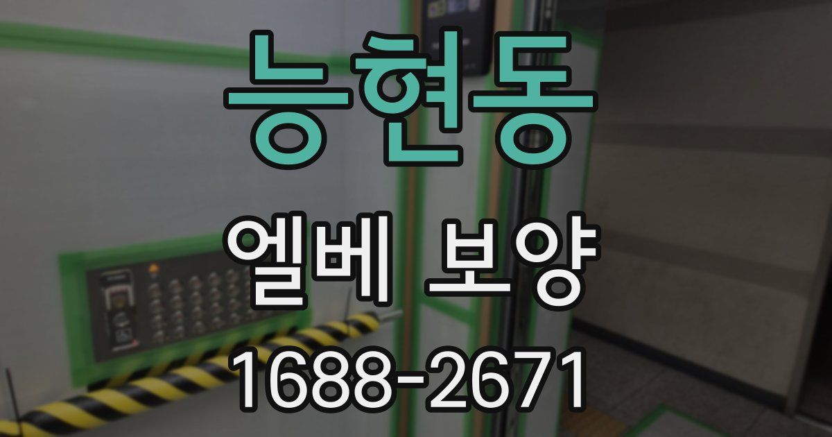 능현동 엘베 보양