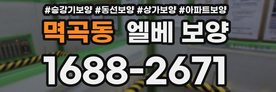 멱곡동 엘베 보양