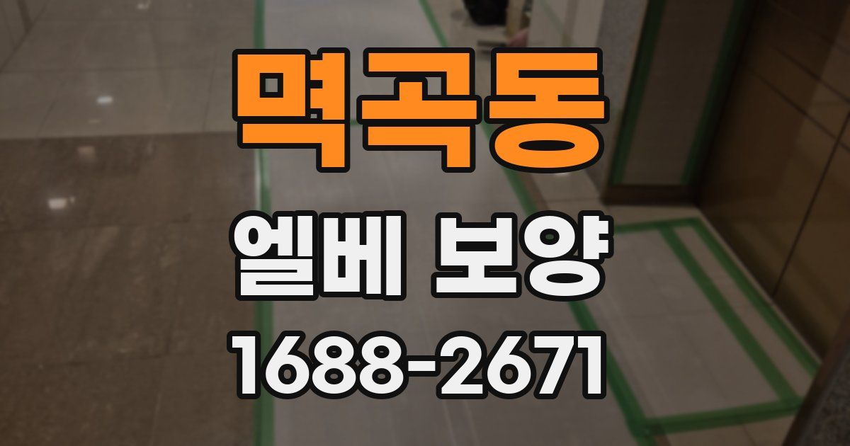 멱곡동 엘베 보양