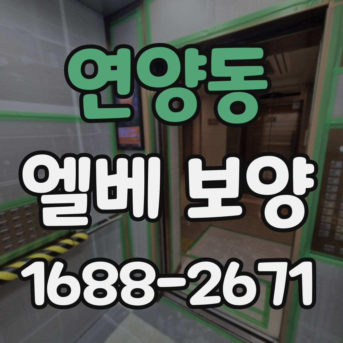 연양동 엘베 보양