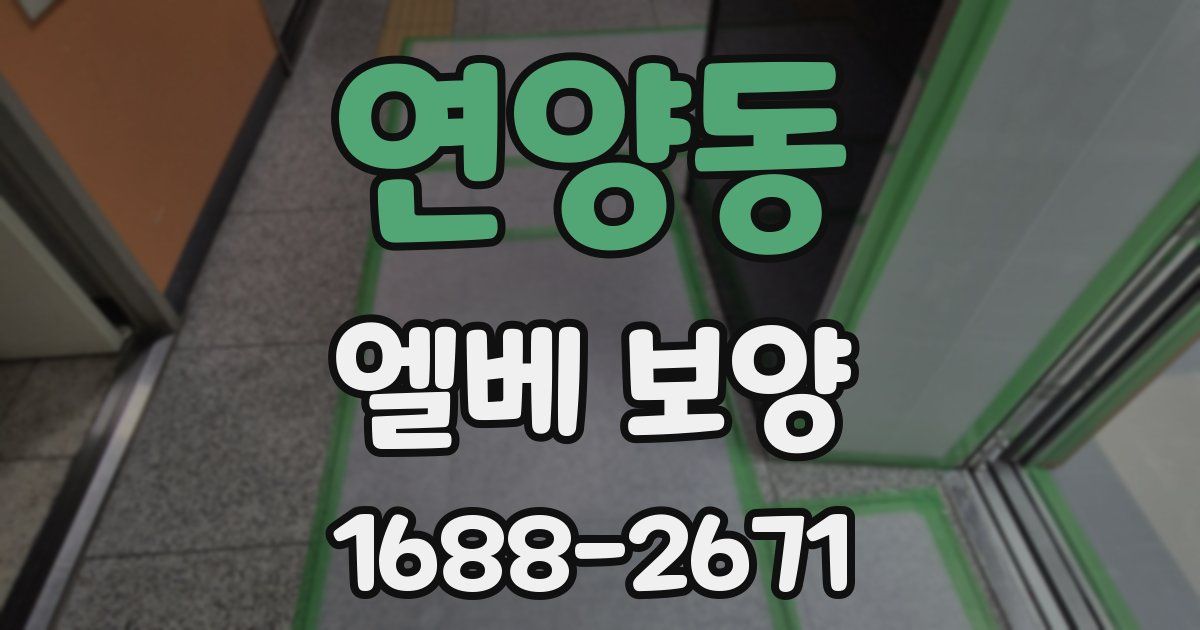 연양동 엘베 보양