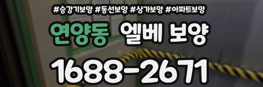 연양동 엘베 보양