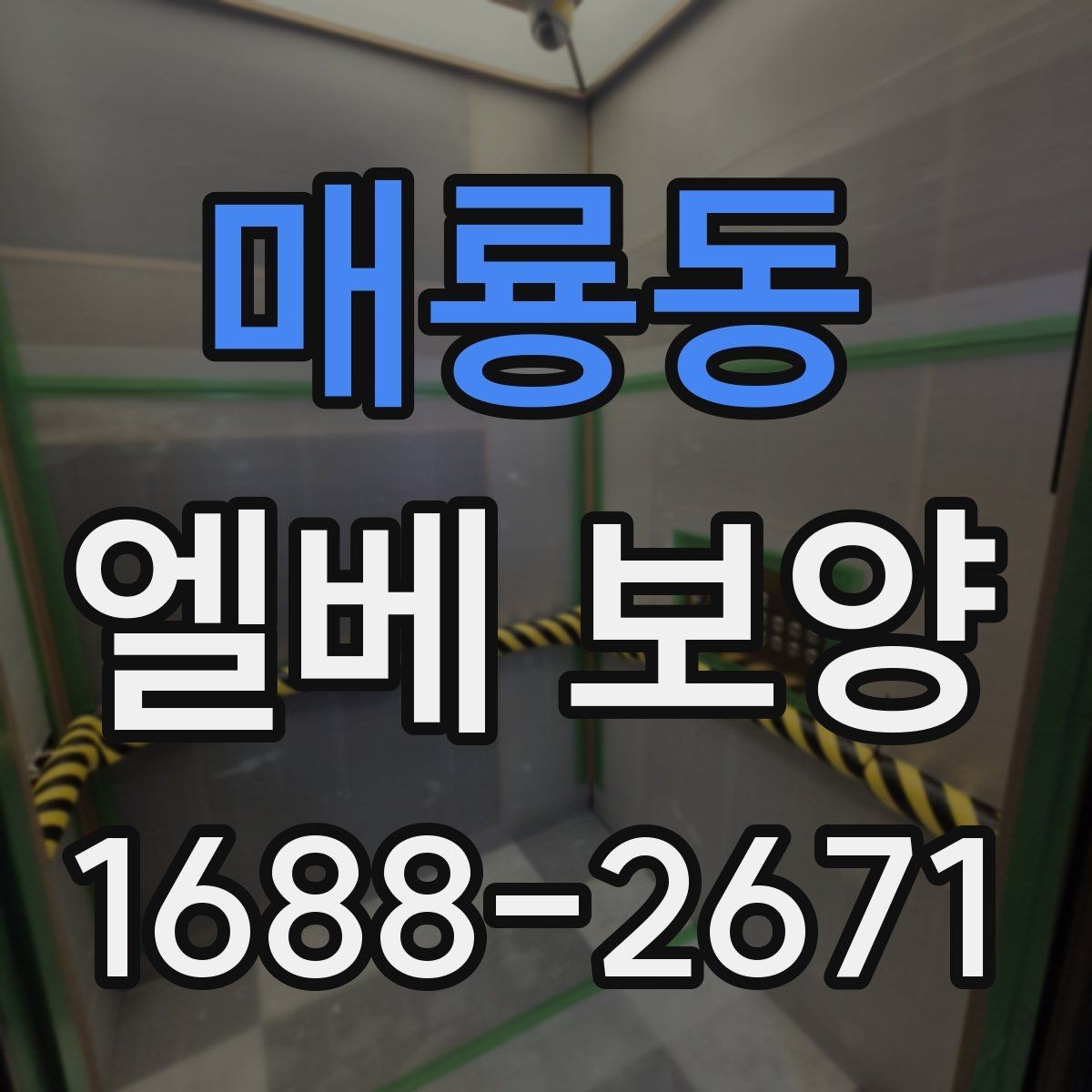 매룡동 엘베 보양 판넬과 시트를 구분해 쓰는 적용 기준