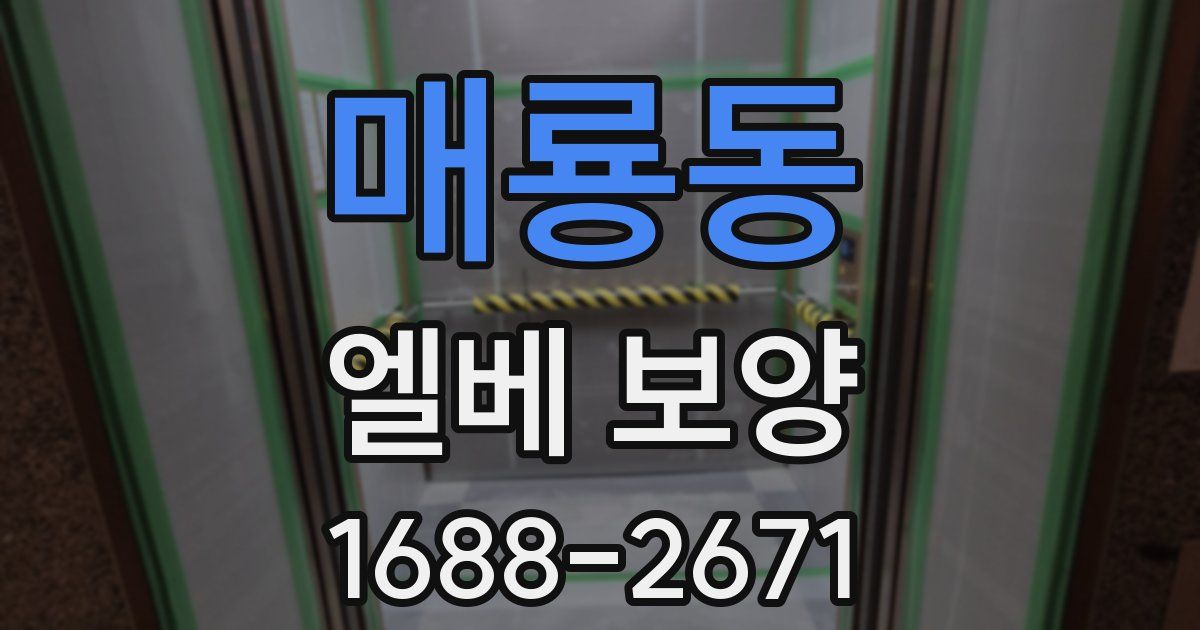 매룡동 엘베 보양