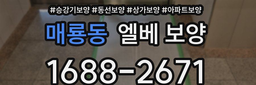 매룡동 엘베 보양