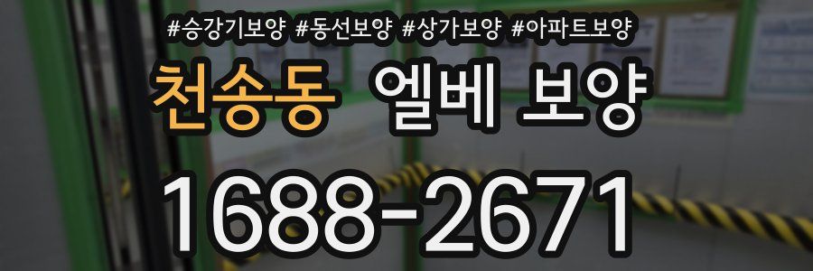 천송동 엘베 보양