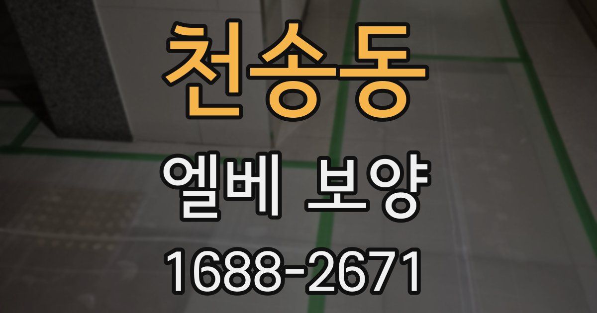 천송동 엘베 보양