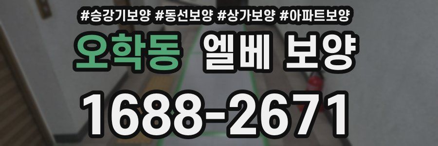 오학동 엘베 보양