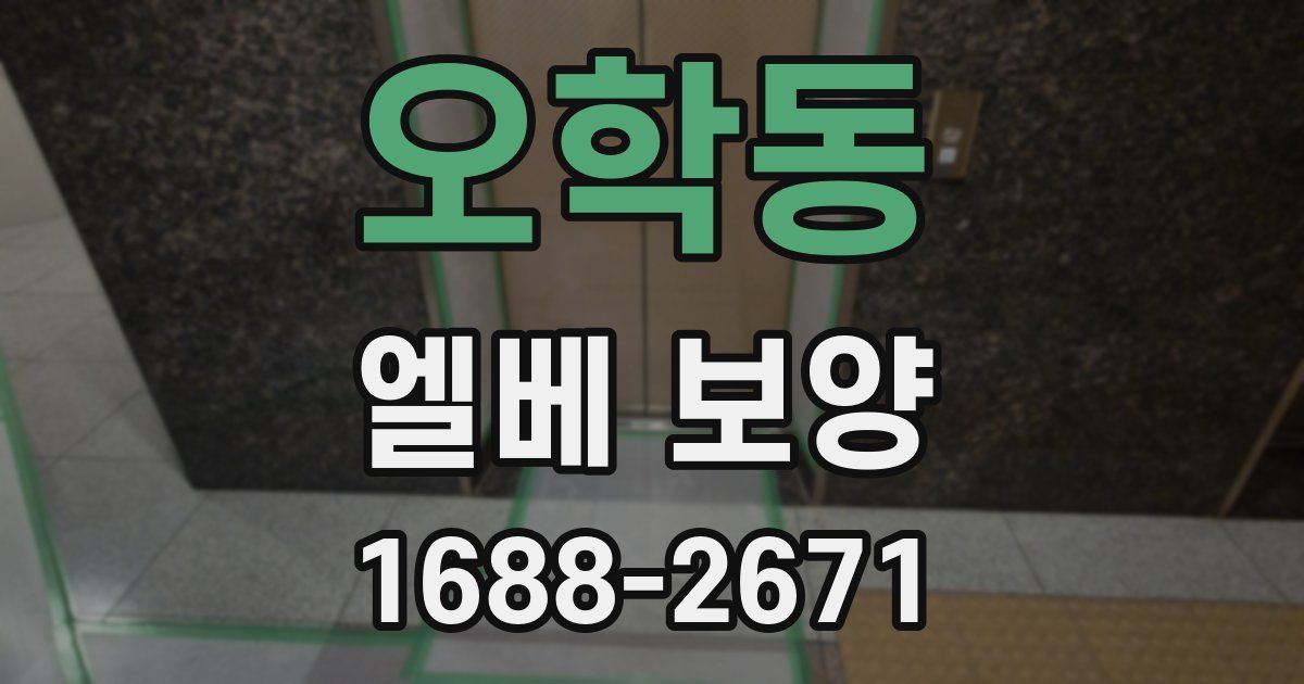 오학동 엘베 보양