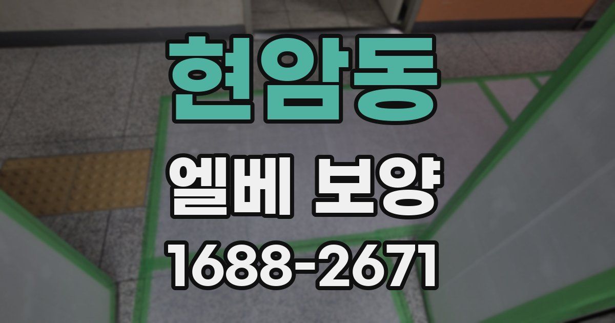 현암동 엘베 보양