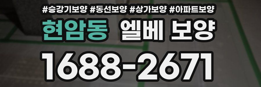 현암동 엘베 보양