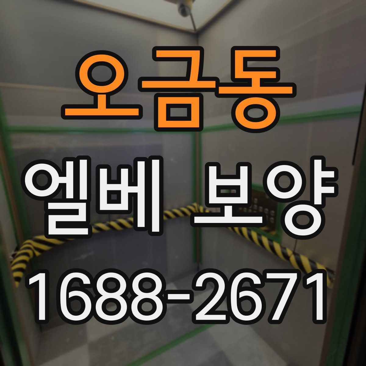 오금동 엘베 보양
