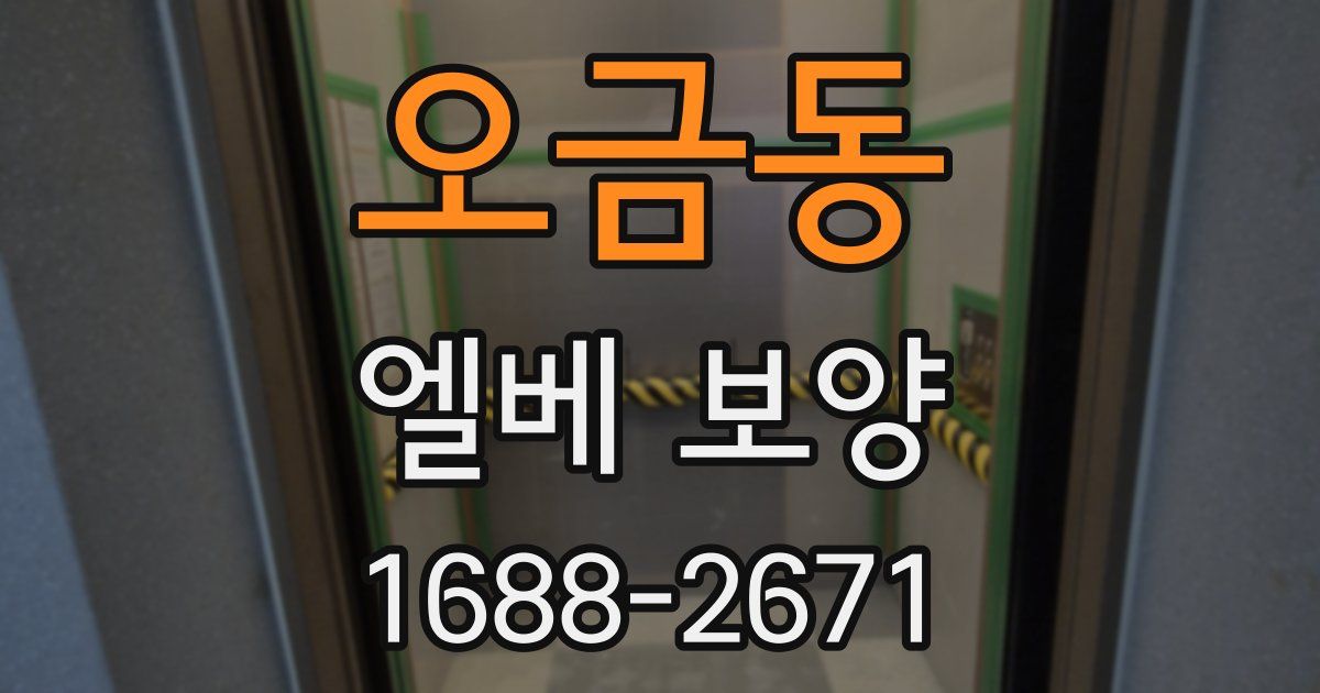 오금동 엘베 보양