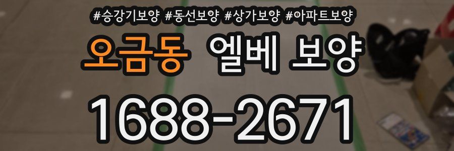 오금동 엘베 보양
