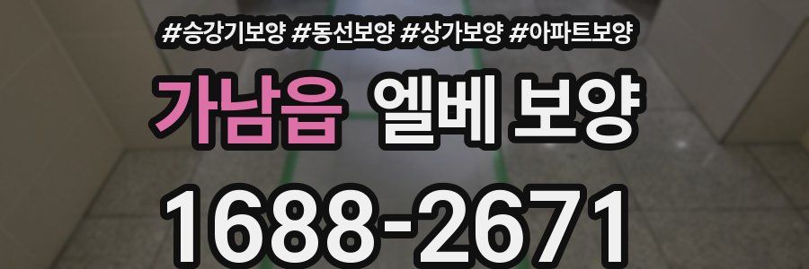 가남읍 엘베 보양