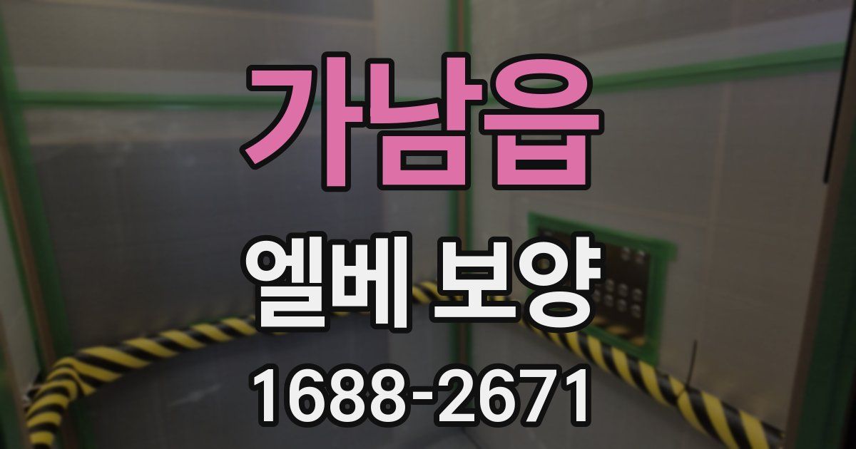 가남읍 엘베 보양