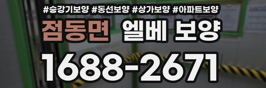 점동면 엘베 보양