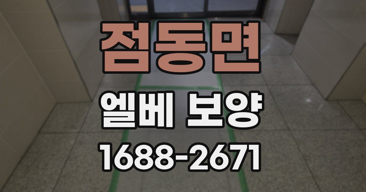 점동면 엘베 보양
