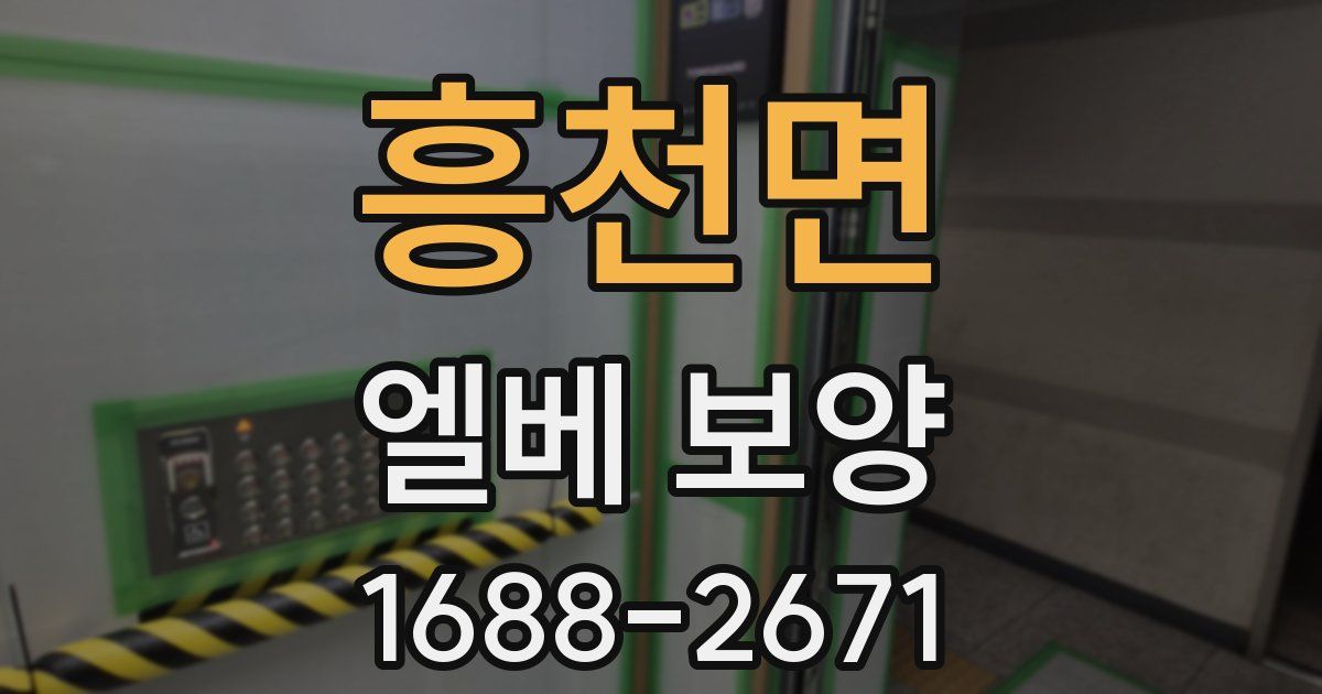흥천면 엘베 보양