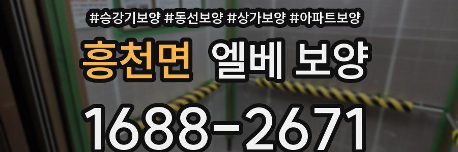 흥천면 엘베 보양