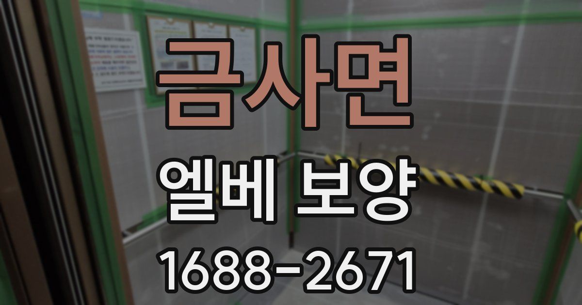 금사면 엘베 보양