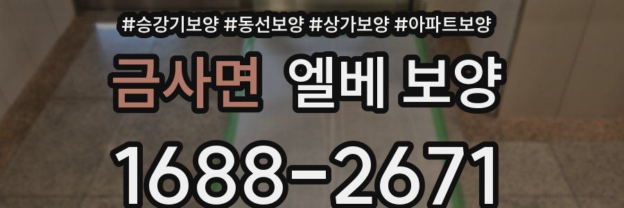 금사면 엘베 보양
