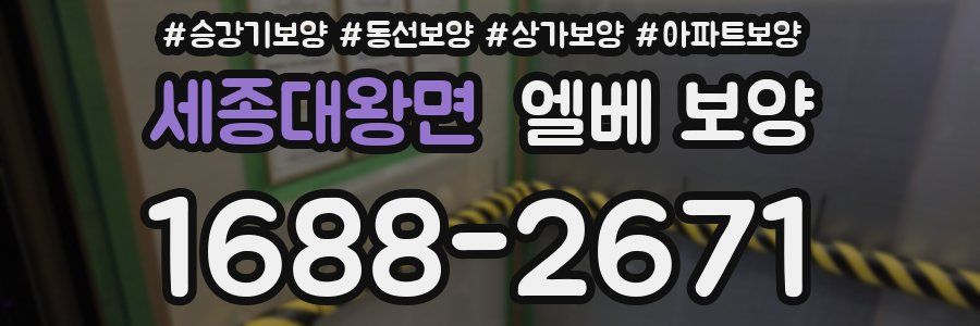 세종대왕면 엘베 보양