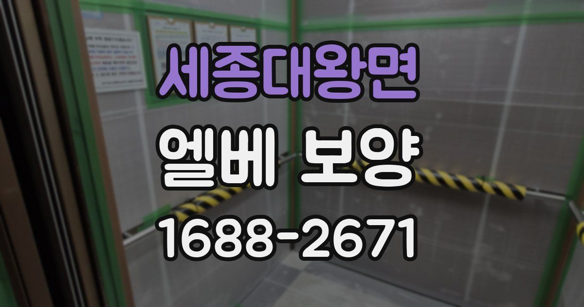 세종대왕면 엘베 보양