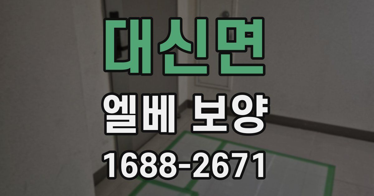 대신면 엘베 보양