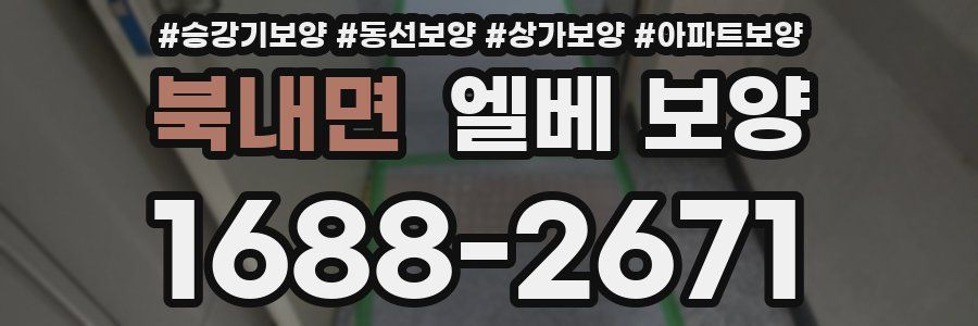 북내면 엘베 보양