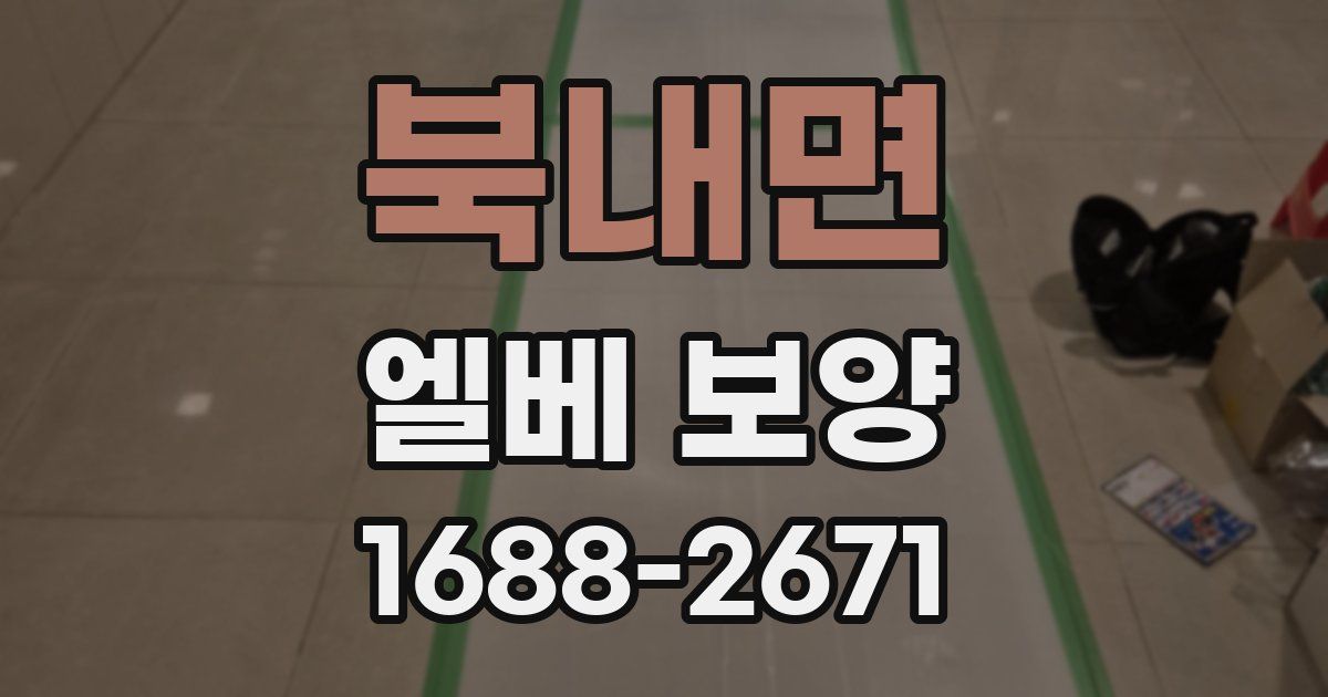 북내면 엘베 보양