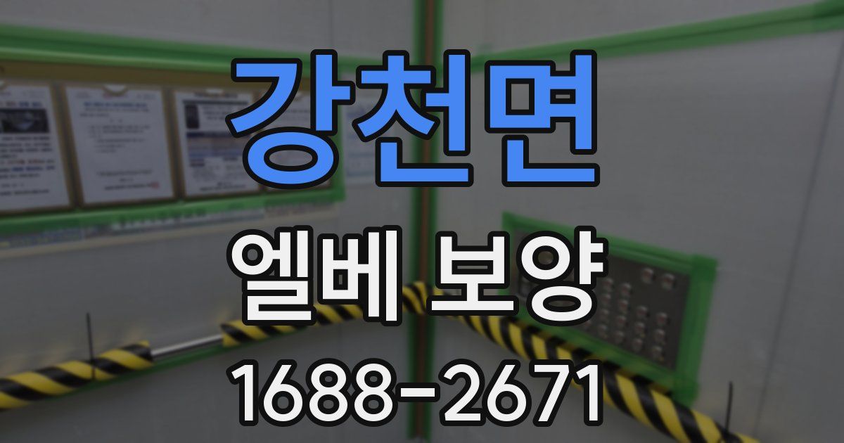 강천면 엘베 보양