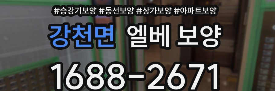 강천면 엘베 보양