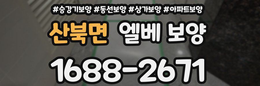 산북면 엘베 보양