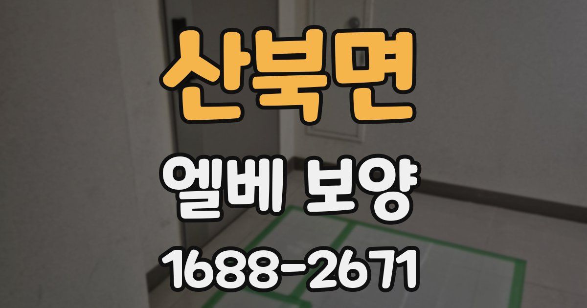 산북면 엘베 보양