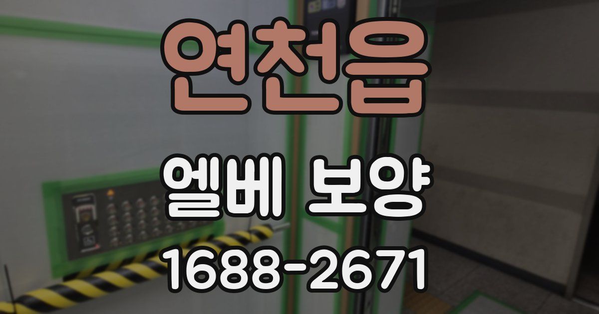 연천읍 엘베 보양