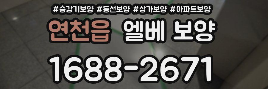 연천읍 엘베 보양