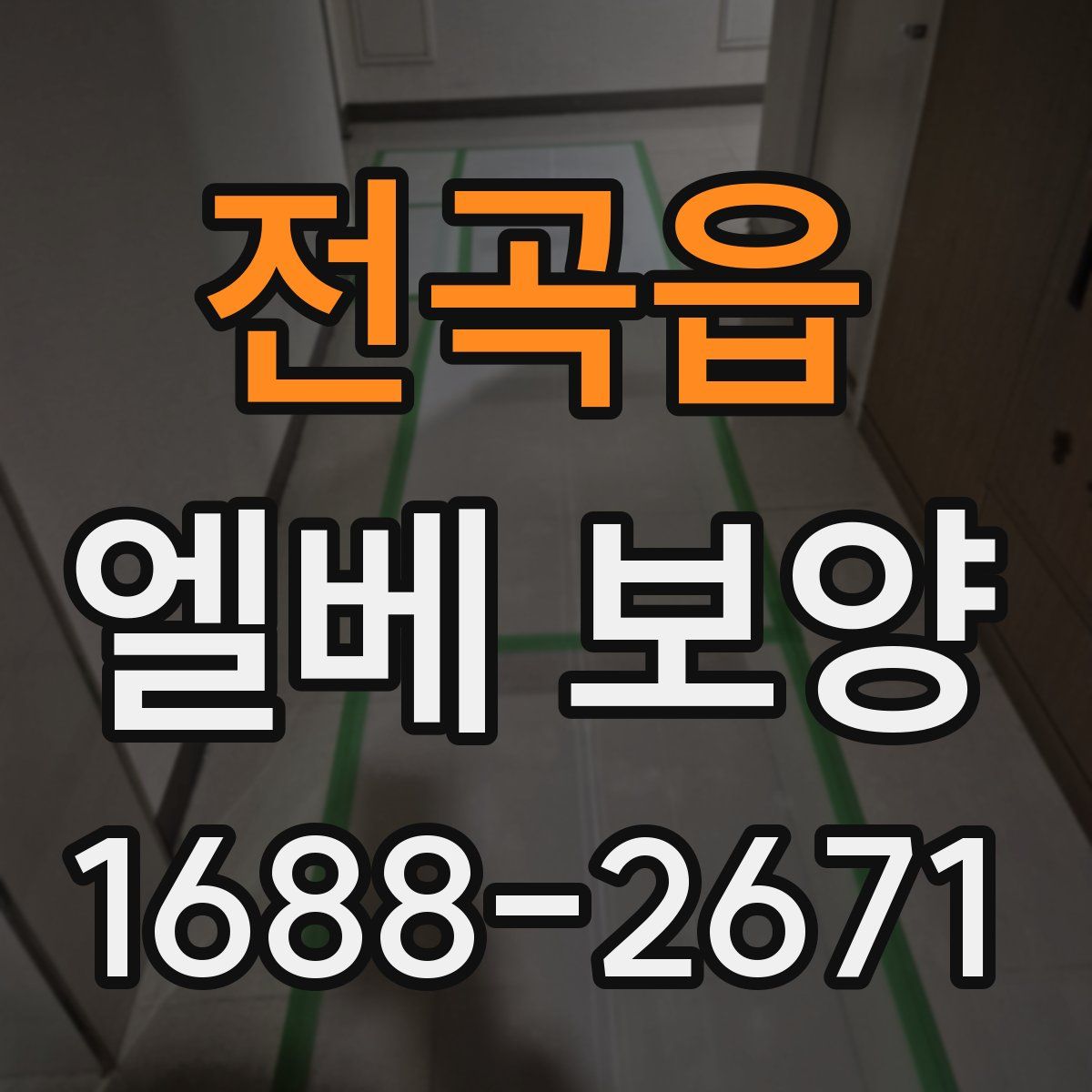 전곡읍 엘베 보양