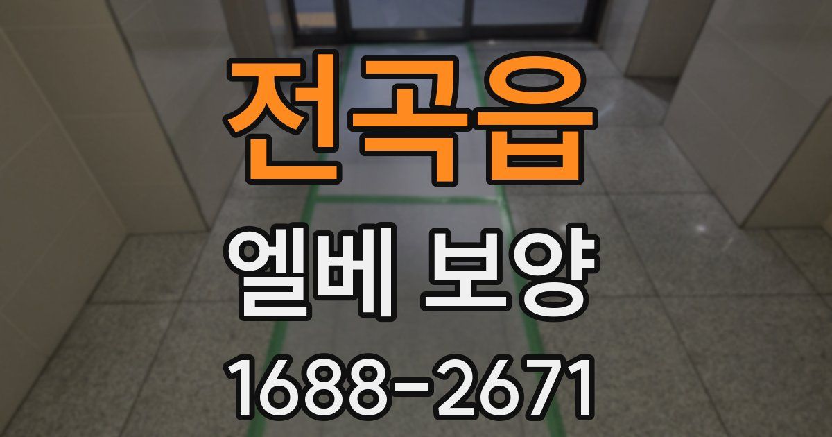 전곡읍 엘베 보양