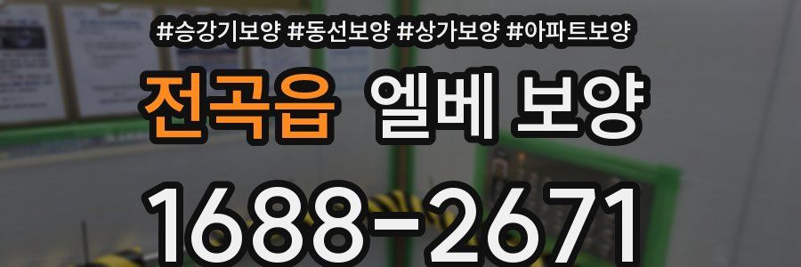 전곡읍 엘베 보양